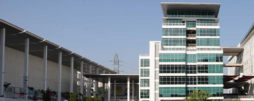 泰莱大学
